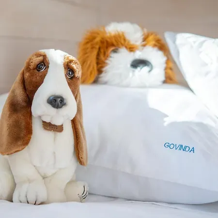 Goscinne Govinda بيت خشبي أوستكا