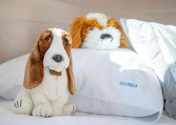 Goscinne Govinda אכסניה אוסטקה